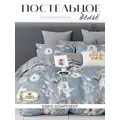 Постельное белье евро сатин